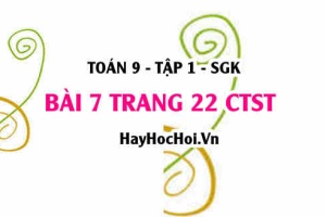Bài 7 trang 22 Toán 9 tập 1 Chân trời sáng tạo SGK